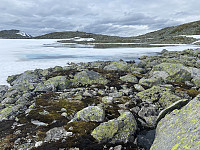 agnar_20240621_6675a58cb0e02.jpeg