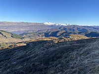 agnar_20250213_67ae132d82f62.jpeg