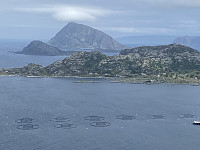 agnar_20250625_685c15aa32b3e.jpeg