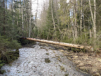 FjellEggen_20220511_627bfc90b3c2f.jpeg