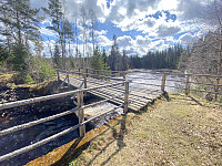 FjellEggen_20220511_627bfcc8e66a8.jpeg