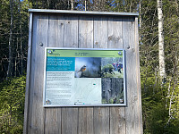 FjellEggen_20220512_627cd48af2b7a.jpeg