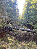 FjellEggen_20220512_627cd4c560681.jpeg