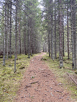 FjellEggen_20220512_627d078184c01.jpeg