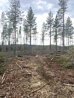 FjellEggen_20220512_627d583b5fe23.jpeg