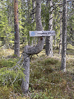 FjellEggen_20220514_627f49764a92a.jpeg