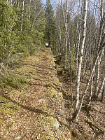 FjellEggen_20220514_627f4e139fb7b.jpeg