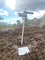 FjellEggen_20220514_627f6ddc3dc9f.jpeg