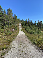FjellEggen_20220813_62f7eedff3a71.jpeg