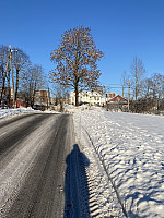 FjellEggen_20230120_63caec9d6713b.jpeg