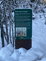 FjellEggen_20230120_63caecb06fc0c.jpeg