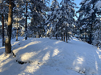 FjellEggen_20230120_63caecc94a128.jpeg