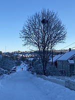 FjellEggen_20230120_63caed10d6645.jpeg