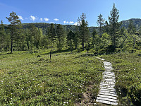 FjellEggen_20230708_64a99e9a3facd.jpeg