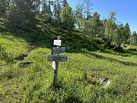 FjellEggen_20230708_64a99ee74c0ed.jpeg