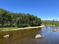 FjellEggen_20230708_64a99ff8dcf7c.jpeg