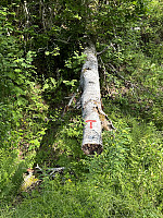 FjellEggen_20230709_64aabb71366bc.jpeg