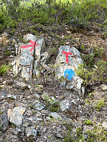 FjellEggen_20230709_64aabb9689da7.jpeg