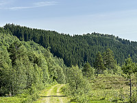 FjellEggen_20230709_64aabbaeaf7fc.jpeg