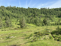FjellEggen_20230709_64aabc27ed78e.jpeg