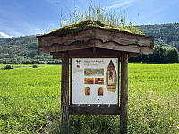 FjellEggen_20230709_64aabe1068985.jpeg