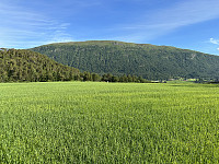FjellEggen_20230710_64ac42dbd75bf.jpeg