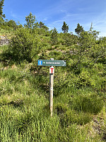 FjellEggen_20230710_64ac42dfb683c.jpeg
