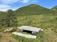 FjellEggen_20230710_64ac42ed2f11b.jpeg