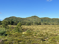 FjellEggen_20230714_64b0fad751f36.jpeg