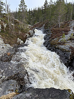 FjellEggen_20240509_663c8c9854d6d.jpeg