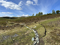FjellEggen_20240615_666d6d2b22738.jpeg