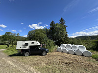 FjellEggen_20240615_666dd4c49b91b.jpeg