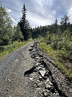 FjellEggen_20240615_666dd4ce89045.jpeg
