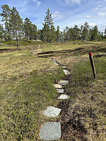 FjellEggen_20240615_666dd4dd1969b.jpeg