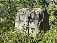FjellEggen_20240615_666dd507b4975.jpeg