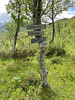 FjellEggen_20240616_666f3139ce331.jpeg