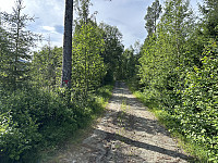 FjellEggen_20240618_6671cb0450371.jpeg