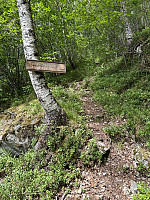 FjellEggen_20240618_6671e0acc7759.jpeg