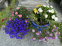 FjellEggen_20240704_6686aa0651b76.jpeg