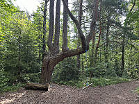 FjellEggen_20240810_66b72c21b7a7d.jpeg