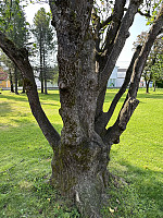 FjellEggen_20240819_66c39564d9c85.jpeg