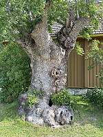 FjellEggen_20240819_66c39673c3b52.jpeg