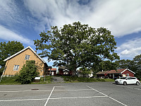 FjellEggen_20240819_66c3967d18ce6.jpeg