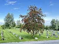 FjellEggen_20240819_66c396a9b2d02.jpeg