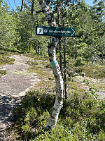 FjellEggen_20240821_66c5f952207ce.jpeg