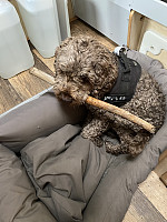FjellEggen_20240823_66c88c76a442c.jpeg
