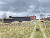 FjellEggen_20240823_66c88c8da68b8.jpeg