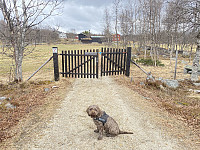 FjellEggen_20240823_66c88c91650ce.jpeg