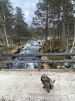 FjellEggen_20240823_66c88c994660f.jpeg