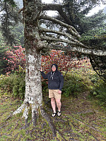 FjellEggen_20241013_670be19627d32.jpeg